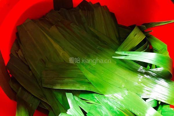 蛋黄肉粽的做法图解1