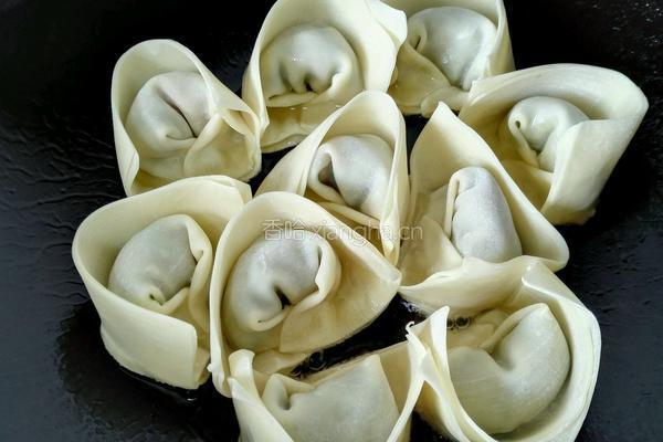 韭菜肉煎馄饨的做法图解4