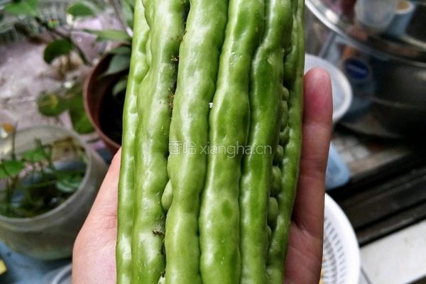 苦瓜黄豆猪骨汤的做法图解2