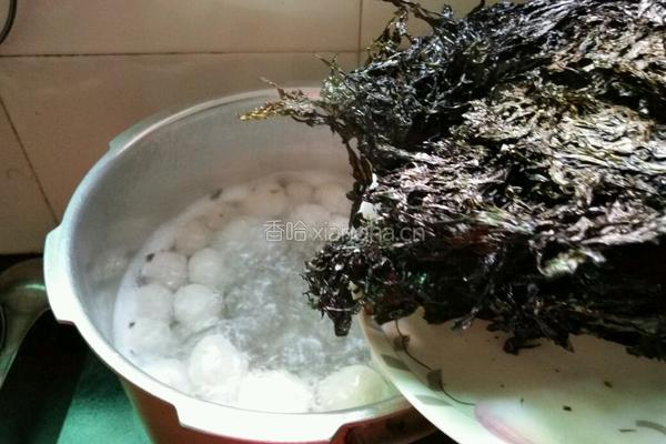 紫菜白肉丸子汤的做法图解5