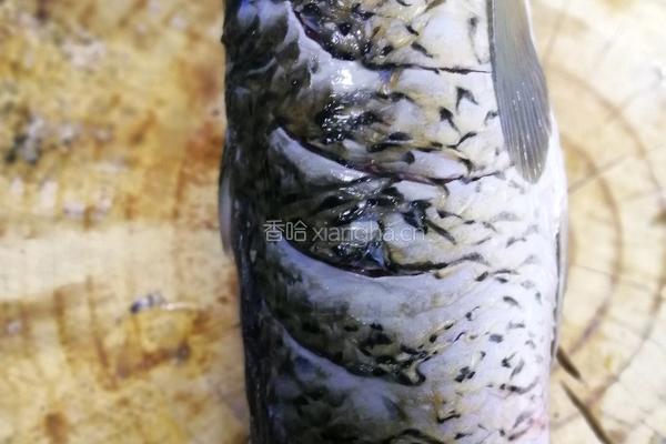 糖醋鲤鱼的做法图解2