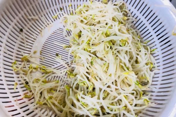 凉拌豆芽的做法图解1