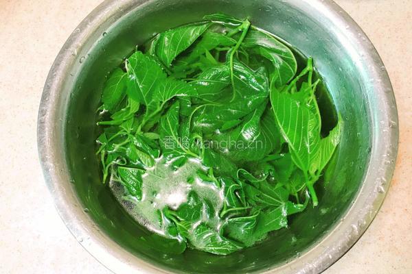 凉拌桑叶芽的做法图解6