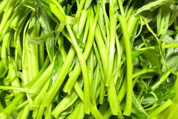 椒丝腐乳炒通菜的做法图解1