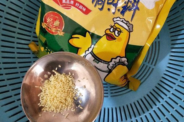 砂锅鱼头汤的做法图解9