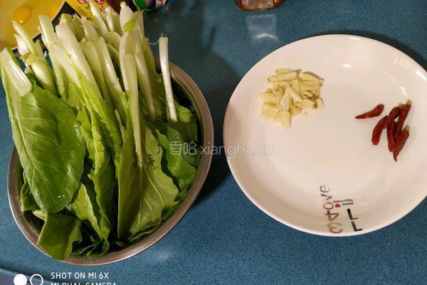炝炒小白菜的做法图解1