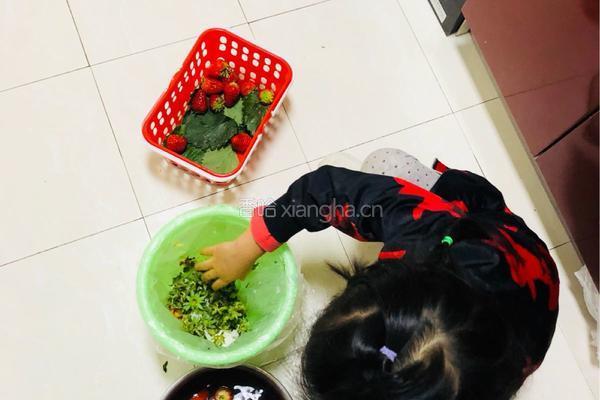 纯天然无加工草莓酱的做法图解1