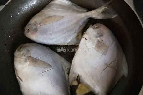 红烧鲳鱼的做法图解4