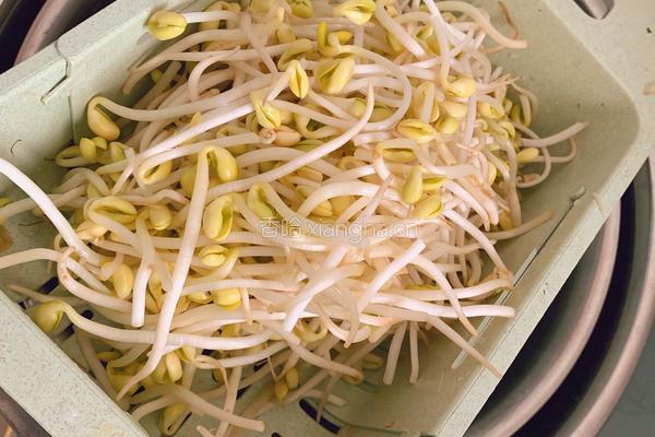黄豆芽豆角蒸卤面的做法图解4