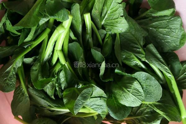 盐水菜心的做法图解2