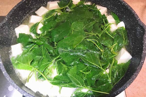 桑芽豆腐汤的做法图解6