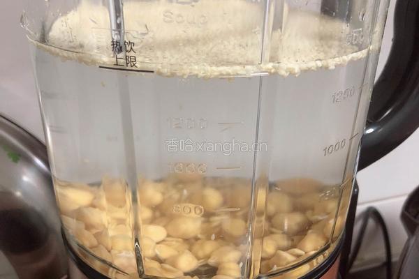 鹰嘴豆燕麦米糊（不饿减脂菜谱）的做法图解4