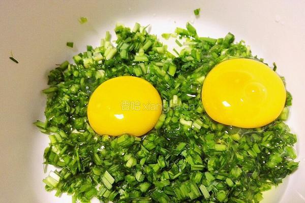 韭菜鸡蛋煎饼的做法图解3