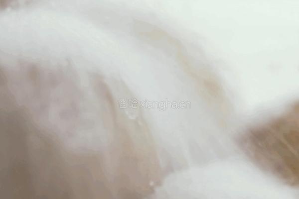 脆青梅的做法图解3