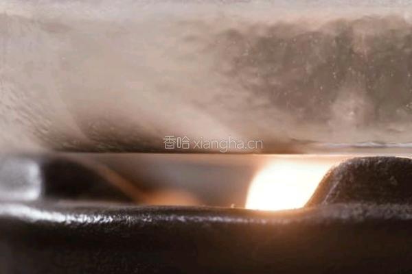 脆青梅的做法图解5