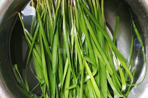 鲅鱼饺子的做法图解2
