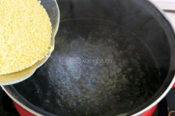 健康绿色　黄金小米粥的做法图解2