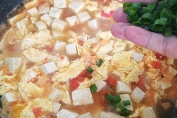 西红柿豆腐汤的做法图解18