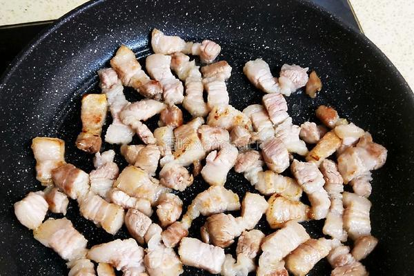 卤肉饭(无油简易版）的做法图解4