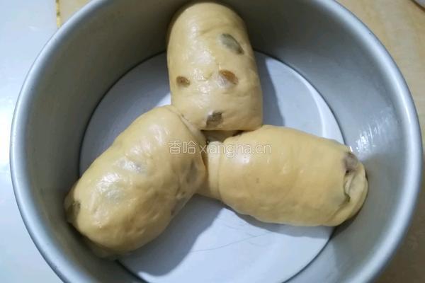 葡萄干手撕面包的做法图解12