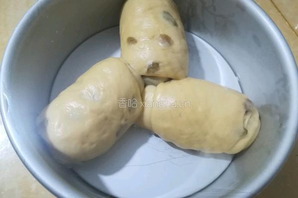 葡萄干手撕面包的做法图解13