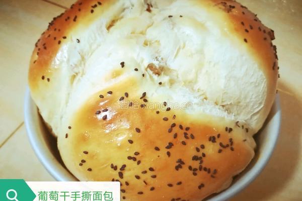 葡萄干手撕面包的做法图解19