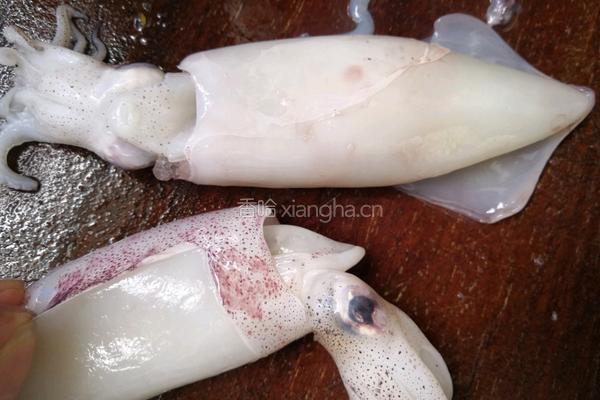 白灼鱿鱼的做法图解1