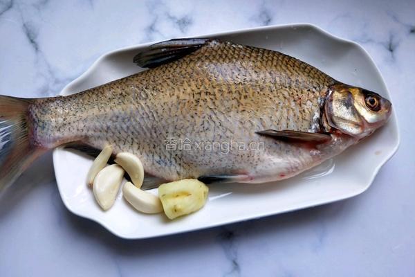 红烧鳊鱼的做法图解2