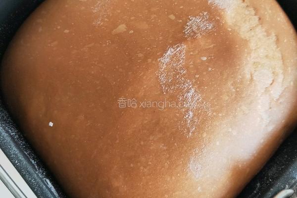 可可面包的做法图解7