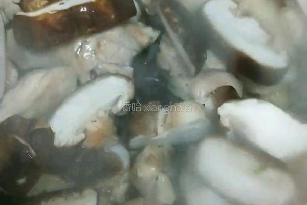啤酒蘑菇鸡的做法图解8
