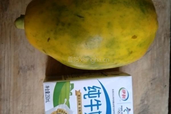 牛奶炖木瓜的做法图解1