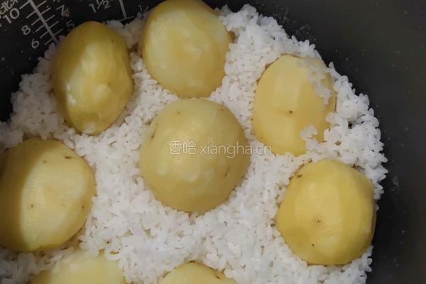洋芋闷饭的做法图解5