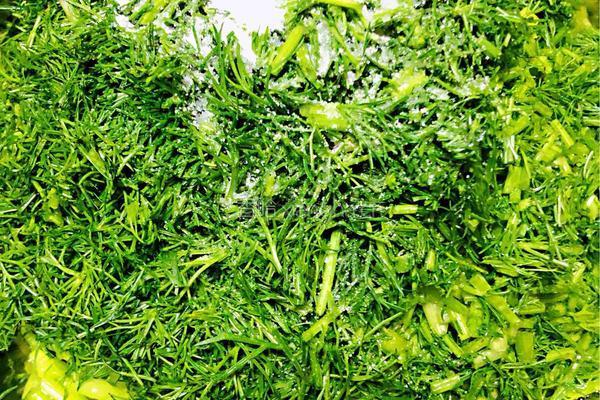 茴香饺子馅的做法图解1