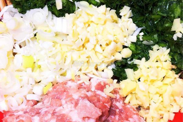 茴香饺子馅的做法图解4