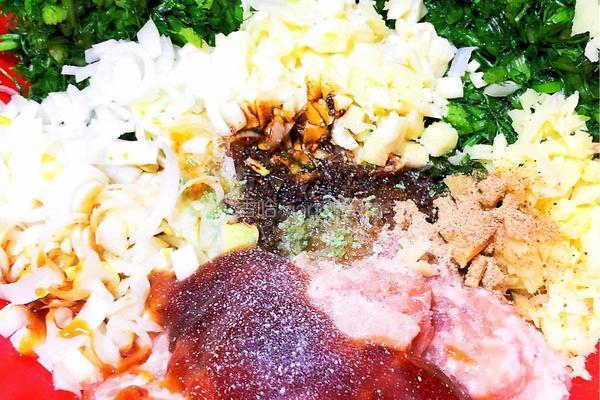 茴香饺子馅的做法图解5
