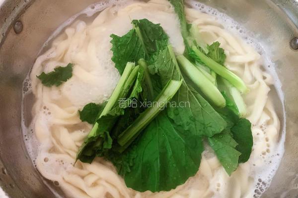 西红柿鸡蛋面的做法图解9