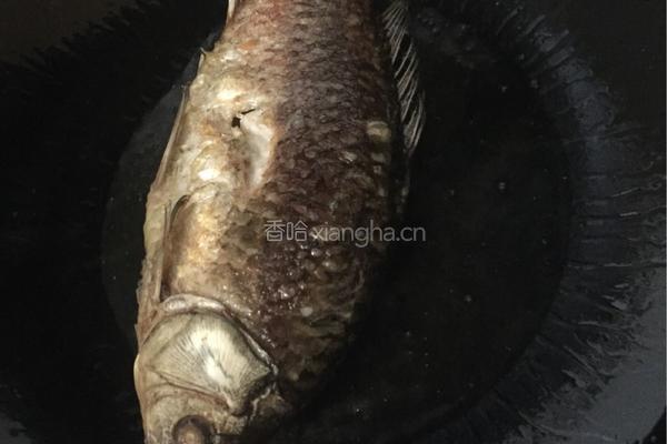 鲫鱼炖豆腐粉条的做法图解3