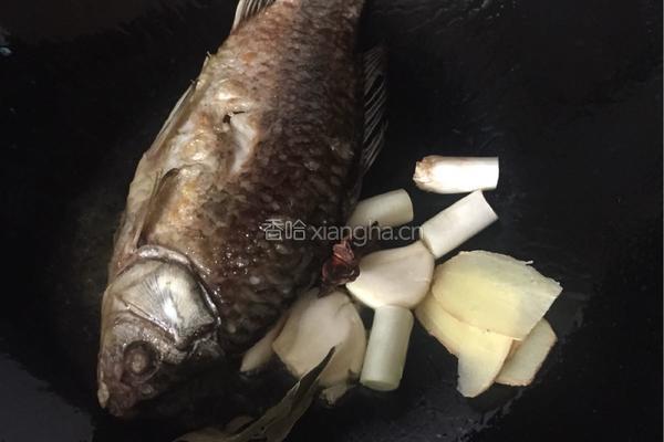 鲫鱼炖豆腐粉条的做法图解4