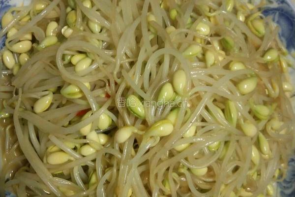 清炒豆芽