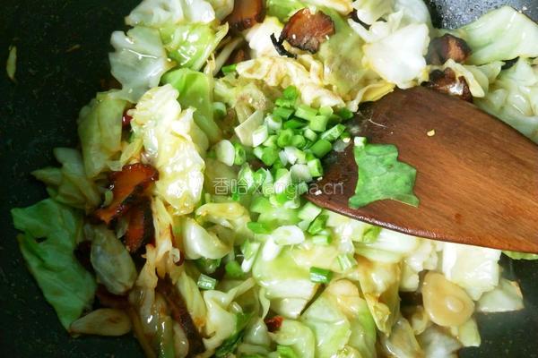 干锅腊肉包菜的做法图解13