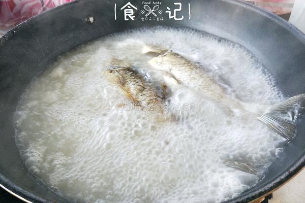 鲫鱼炖豆腐的做法图解5