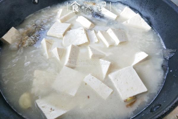 鲫鱼炖豆腐的做法图解7
