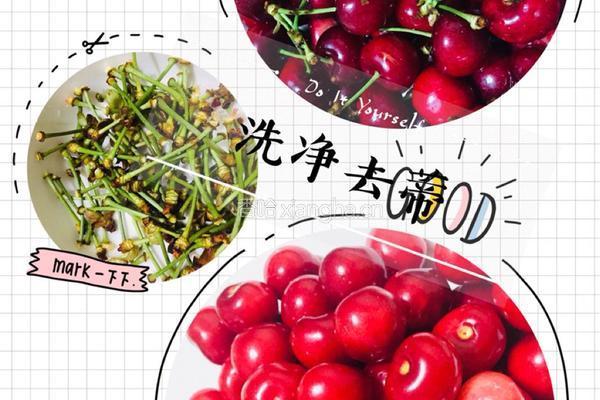 车厘子酒的做法图解1