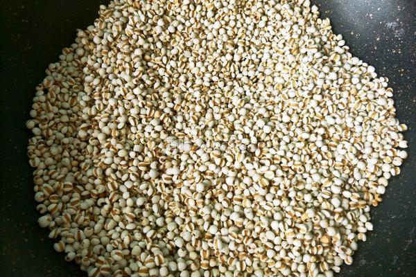 红豆薏仁芡实粥的做法图解3