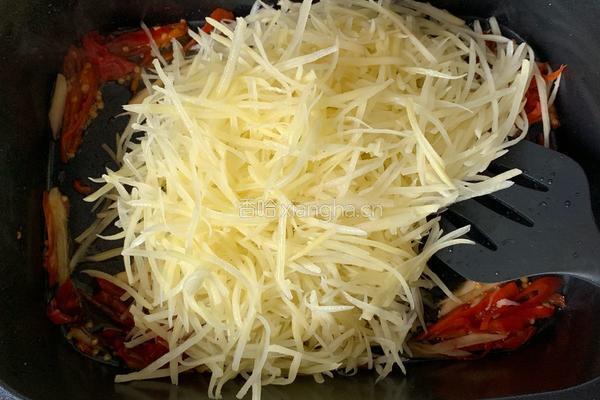 酸辣土豆丝的做法图解4