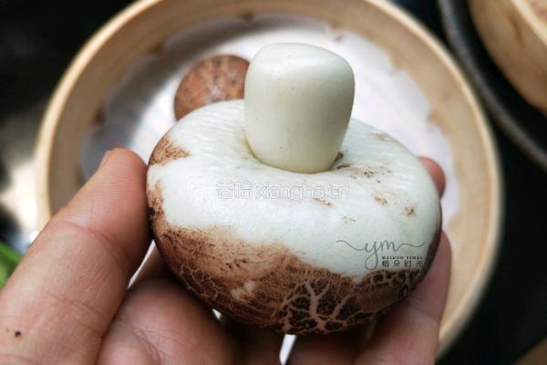 仿真香菇包的做法图解15