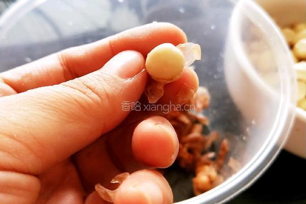 菠菜拌花生的做法图解3