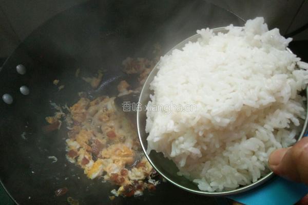 腊肠蛋炒饭的做法图解7