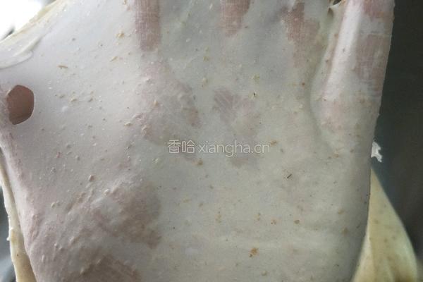 中种全麦吐司的做法图解3