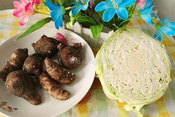 芋头炒莲花白的做法图解1
